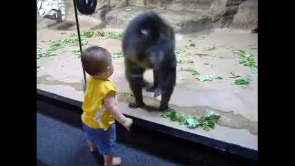 Маймуна се дупи на бебенце