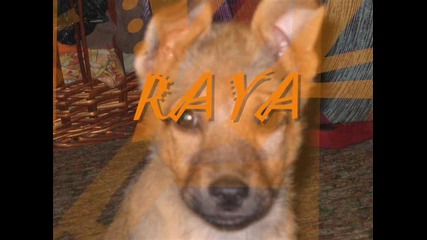 Raya_0001