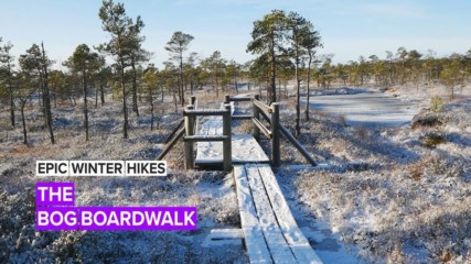 Epic Winter Hikes: Walk along an 8,000 year old bog