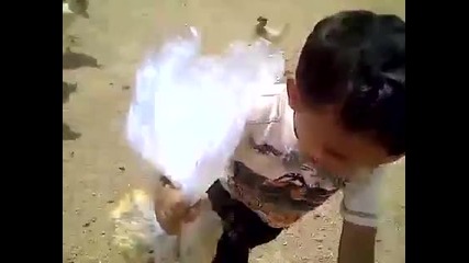Малко дете го е страх от кокошки !