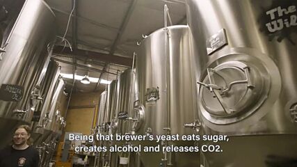 Saving the planet one beer at a time