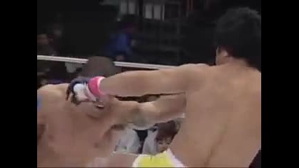 Mma Brutality Best Knockouts Ever