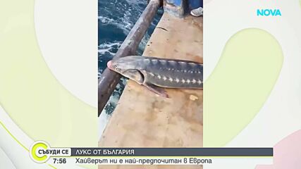 Българският черен хайвер - на първо място по износ в Европа