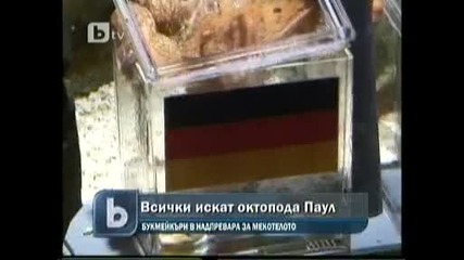 искат да купят октопода Паул !!! 