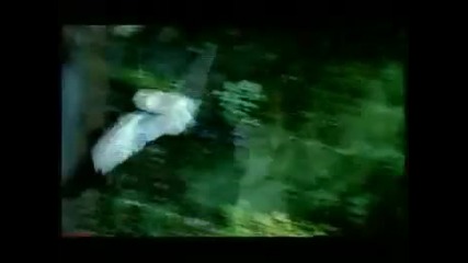 # Secret Garden - Nocturne - Gunnhild Tvinnereim 