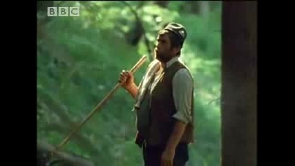 Bbc Howling at the Forest - Living with Predators 