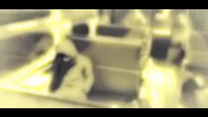 Narsil - So Far Amv High Quality