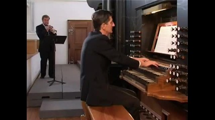 Giuseppe Tartini Concert in D - Allegro - Andante 