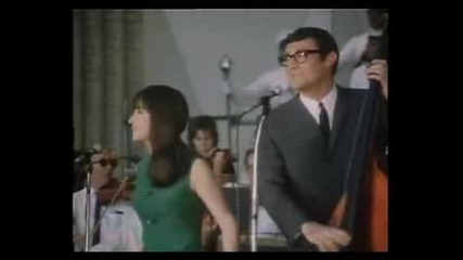 The Seekers - Morning Town Ride