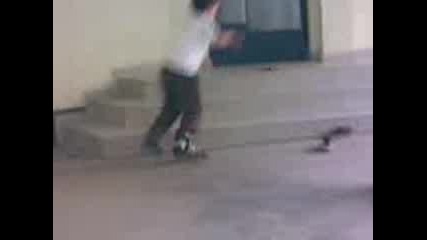 Padane 4