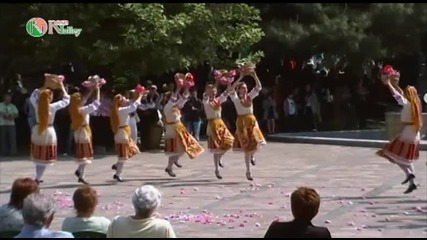 Празник на Розата