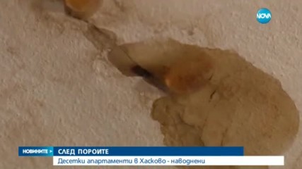 Новините на NOVA (18.04.2017 - обедна емисия)