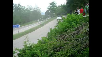 Рали Вида 2009