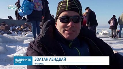 Любители на кънките се пързаляха по замръзналото езеро Балатон