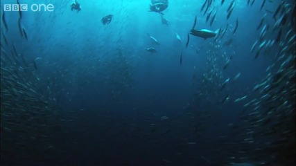 Воден Армагедон-bbc One