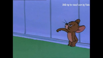 Tom and Jerry - The Vanishing Duck