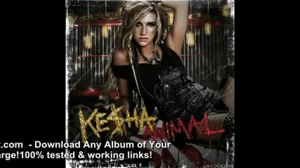 Kesha - Boots, boys official song Animal 2010 
