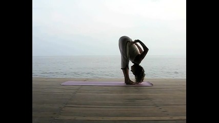 Yoga part 2 with Anusara Yogi Bridget Woods Kramer 15 min daily practice