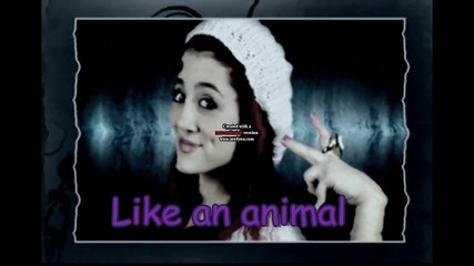 Animal c.p [2]