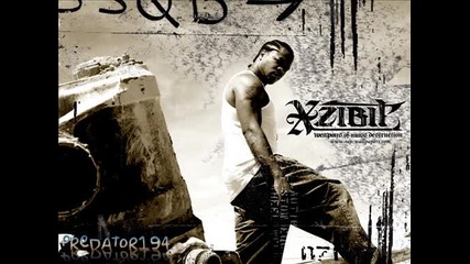 X Zibit Just maintain