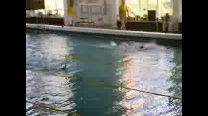 Плуване - 100 Метра Гръб