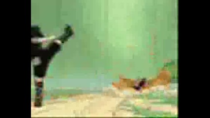 Sasuke - Move Amv