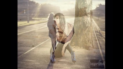 1 effect Proshow Producer