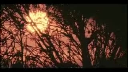 Enrique Iglesias - Donde Estan Corazon