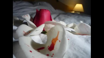 Bed Of Roses - Bon Jovi