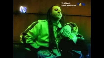 Evanescence - Everybodys Fool (t 