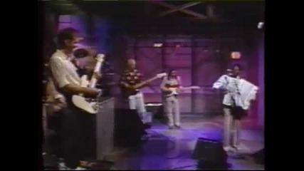 Buckwheat Zydeco - Hey Joe