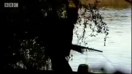 A struggle to survive - Hunting Chris Ryan - Bbc Endurance 