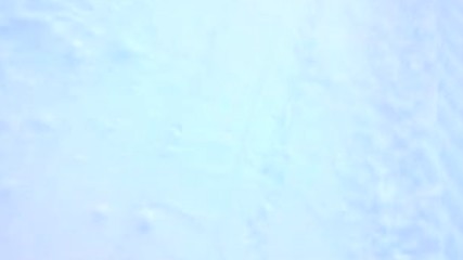 Kis Geldi Arkadaslar Ne Guzel Mucizeler Olusmus Ya Yeni Yil Happy New Year 2017 Hd