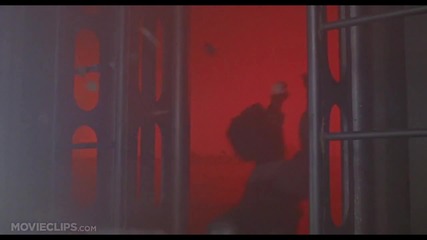 Зов за завръщане (1990) - готви се за изненада