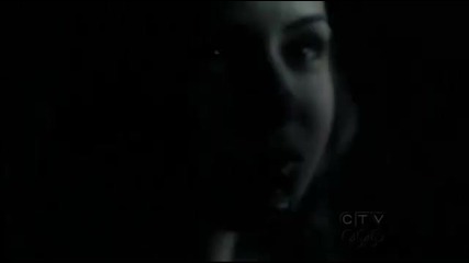 The Vampire Diaries ~ Futuristic Lover (bg sub) 