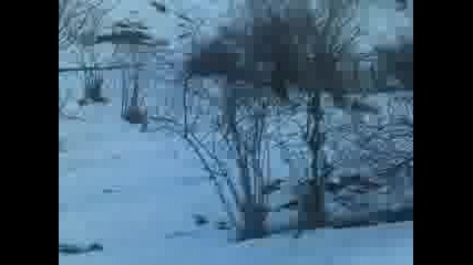 Гамач 2