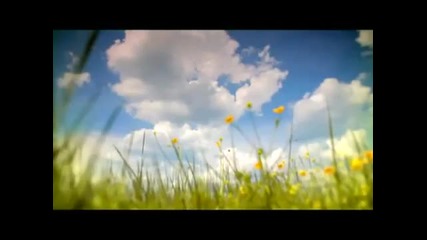 Антония- Хубавец 2011