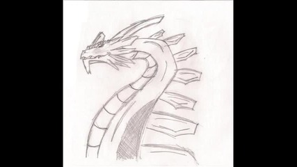 Dragons