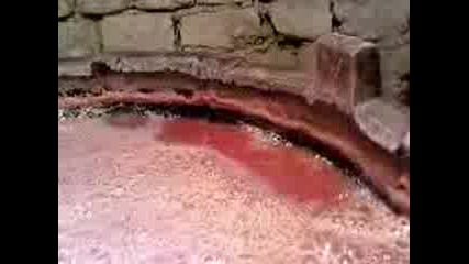 Mov02138
