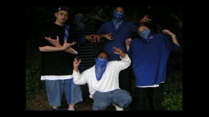 BLOODZ VS CRIPS 2