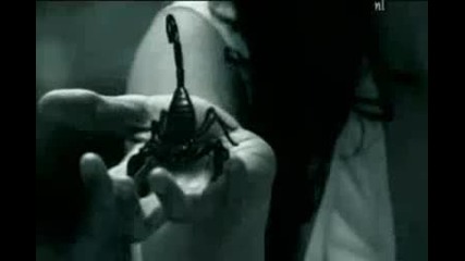 Within Temptation - The Howling