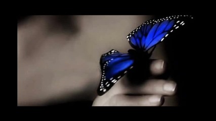 Nusound On wings of Angels 