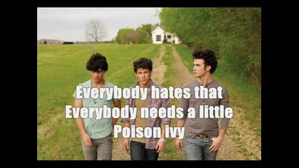 Jonas Brothers - Poison Ivy [lyrics]