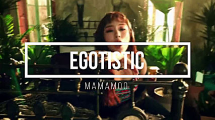 Random Play Dance Kpop no cuontdown