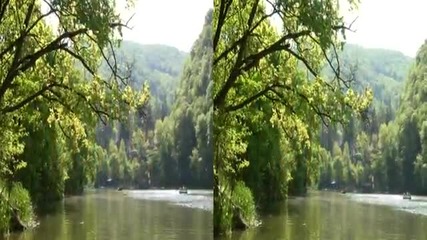 Магическа гора ..