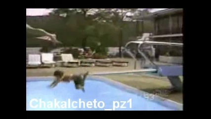 Злополуки - Видео клипове- Клиповете.ком