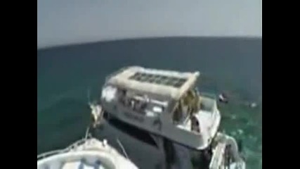 Е от цялото море как се намерихте