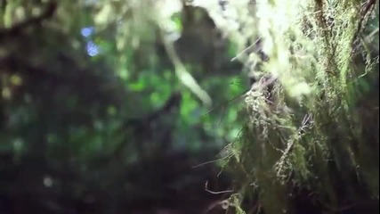 Ванкувър Айлънд - Canon 5d Mark