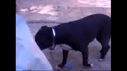 С Коко 5