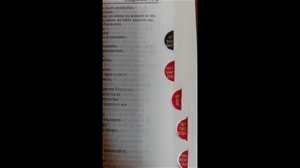 Vid_20230401_162219.mp4